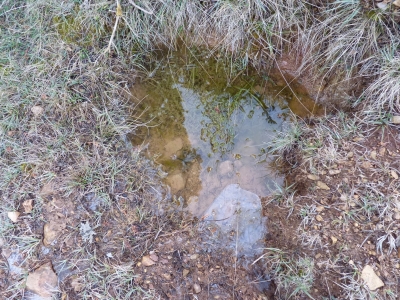 Fuente del Piojo - imagen 5