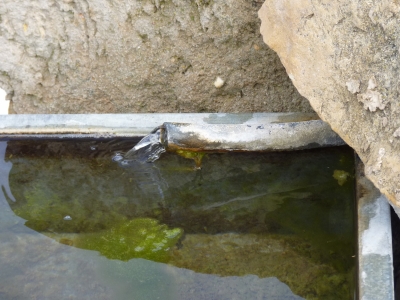 Fuente la Quebrada - imagen 4
