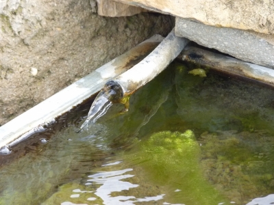 Fuente la Quebrada - imagen 7