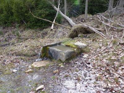 Fuente del Rento - imagen 1