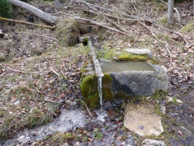 Fuente del Rento - imagen 2