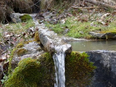 Fuente del Rento - imagen 3