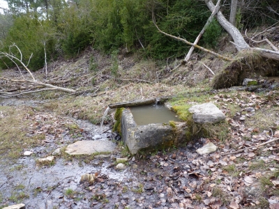 Fuente del Rento - imagen 5