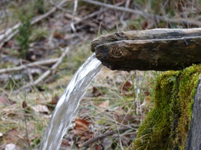 Fuente del Rento - imagen 6