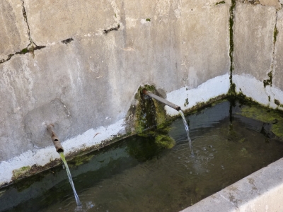 Fuente Romana - imagen 4