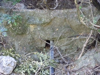 Fuente el Tejo - imagen 1