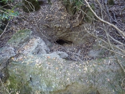 Fuente el Tejo - imagen 2