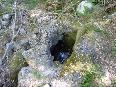 Fuente el Tejo - imagen 5