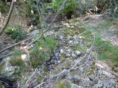 Fuente el Tejo - imagen 6