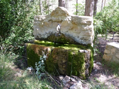 Fuente del Tejo, área recreativa - imagen 2