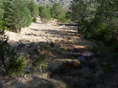 Fuente del Tormo - imagen 5