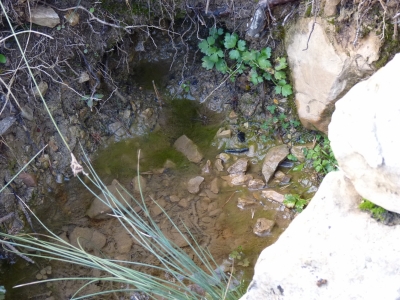 Fuente del Tornajillo - imagen 3