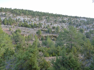 Fuente del Tornajillo - imagen 4
