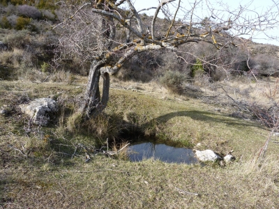Fuente de los Tonajos de la Dehesa - imagen 1