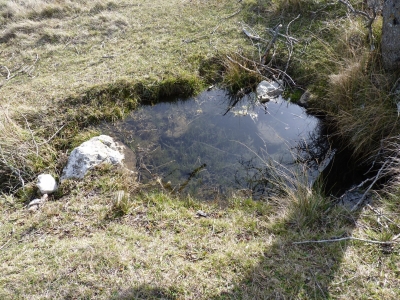 Fuente de los Tonajos de la Dehesa - imagen 2