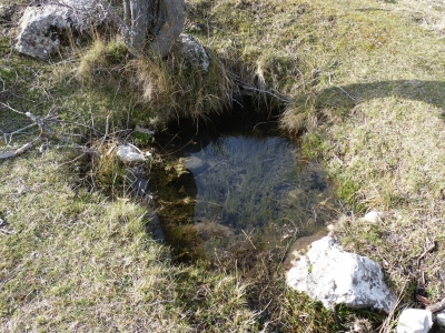Fuente de los Tonajos de la Dehesa - imagen 3