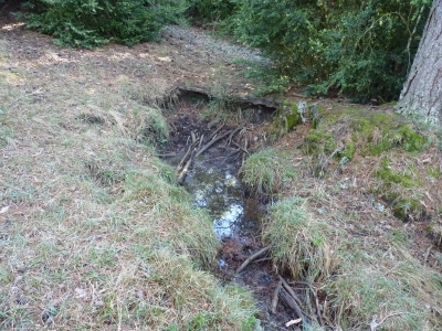 Fuente de la Víbora - imagen 2