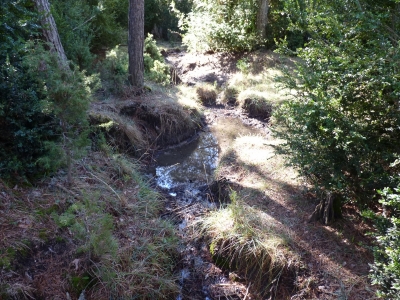 Fuente de la Víbora - imagen 4