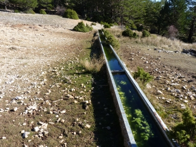 Fuente del Villarejo - imagen 2