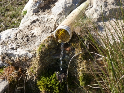 Fuente del Villarejo - imagen 4