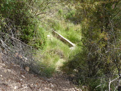 Fuente Cañigralejo - imagen 1