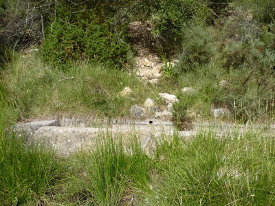 Fuente Cañigralejo - imagen 2