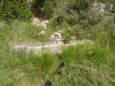 Fuente Cañigralejo - imagen 4