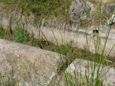 Fuente Cañigralejo - imagen 6