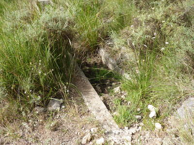 Fuente Cañigralejo - imagen 7