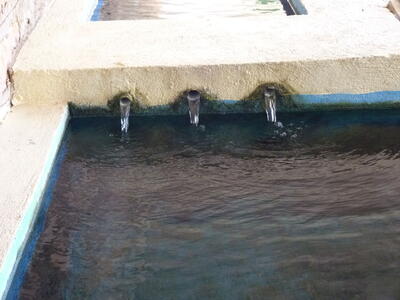 Lavadero de la Fuente Vieja - imagen 5