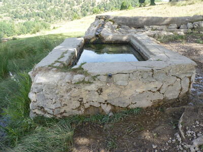 Fuente el Pino - imagen 7