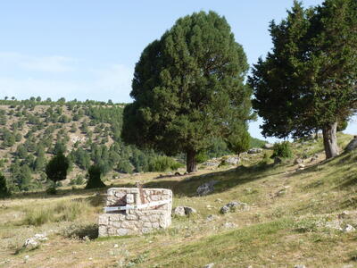 Fuente el Pino - imagen 8
