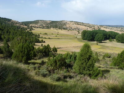 Fuente el Pino - imagen 10