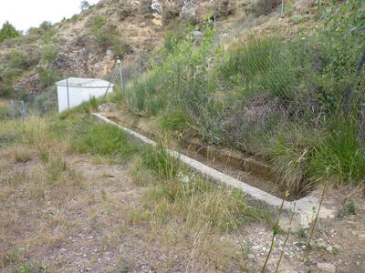 Fuente de la Zarza - imagen 2