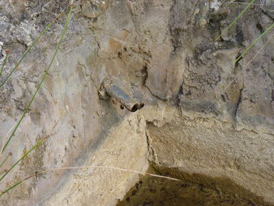 Fuente de la Zarza - imagen 4