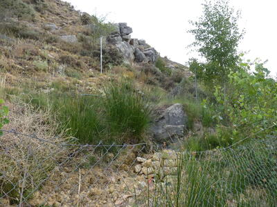 Fuente de la Zarza - imagen 8