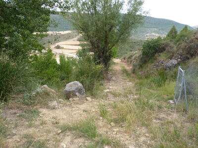 Fuente de la Zarza - imagen 9