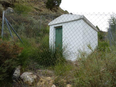 Fuente de la Zarza - imagen 10