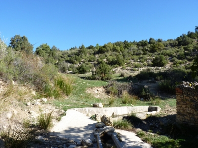 Fuente del Ardal - imagen 3
