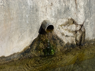 Fuente del Ardal - imagen 6