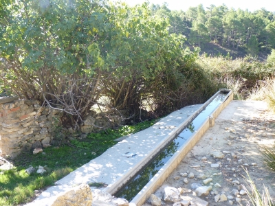 Fuente del Ardal - imagen 7