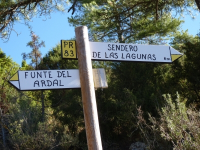 Fuente del Ardal - imagen 8