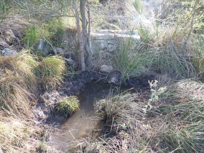 Fuente del Cuervo - imagen 1