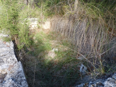 Fuente del Cuervo - imagen 2