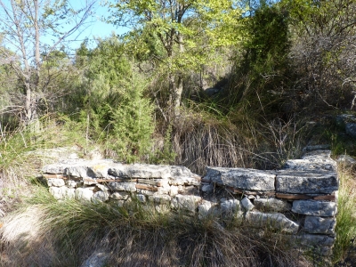 Fuente del Cuervo - imagen 3