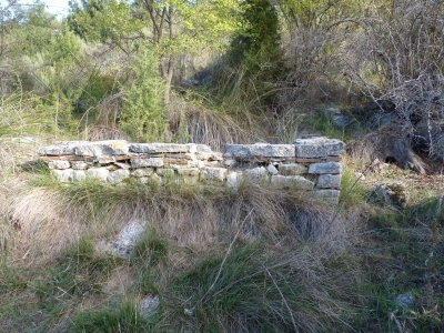 Fuente del Cuervo - imagen 4