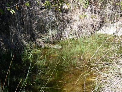 Fuente del Enebrillo - imagen 1