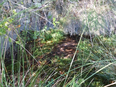 Fuente del Enebrillo - imagen 2