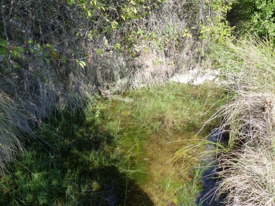 Fuente del Enebrillo - imagen 5