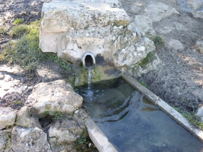 Fuente Milano - imagen 6